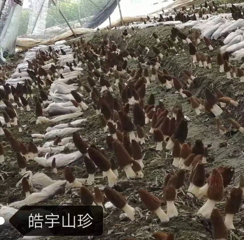 &#24320;&#20803;&#32593;&#31449;&#30331;&#24405;&#20837;&#21475;&#95;&#24320;&#20803;&#65288;&#20013;&#22269;&#65289;